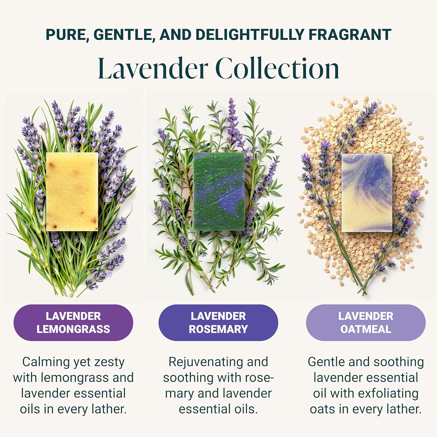 The Bubble Factory Handmade Natural Bath & Body Soap Bar, Vegan, All-Natural, Palm Oil Free, Made in USA with Shea Butter + Essential Oils, Lavender Collection, 3 Bars