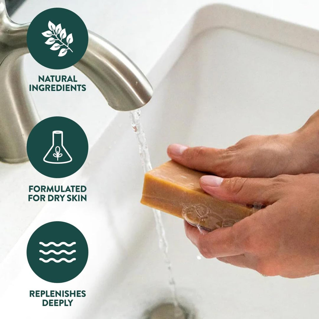 Crate 61 Organics, Handmade in Canada, Plant Based Cold Process Natural Bar Soap, With Premium Essential Oils, Dry Skin, Pack of 6 (For Him)